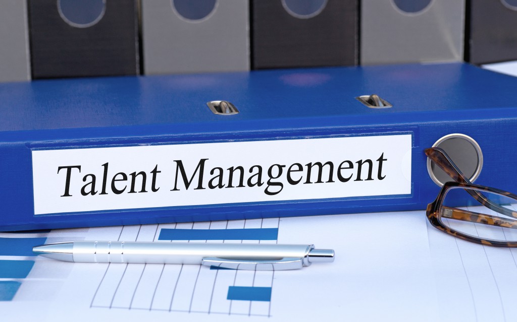 Bullseye Talent Management software Manage Organization performance