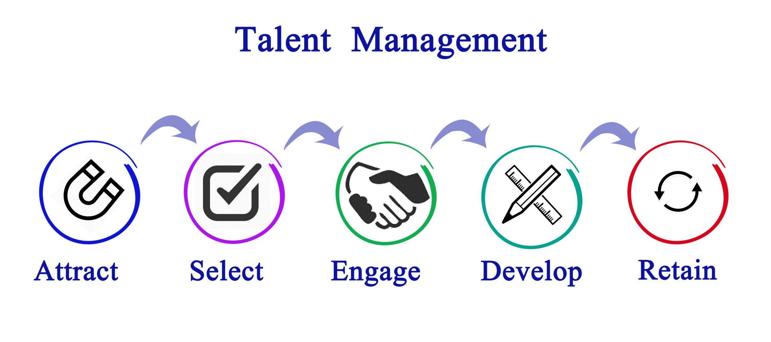 Use a Talent Management System to Develop Teams That Give Results